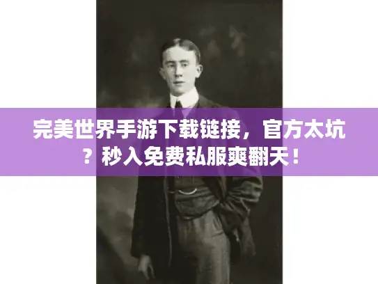完美世界手游下载链接，官方太坑？秒入免费私服爽翻天！