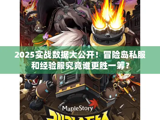 2025实战数据大公开！冒险岛私服和经验服究竟谁更胜一筹？