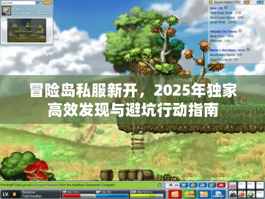 冒险岛私服新开，2025年独家高效发现与避坑行动指南