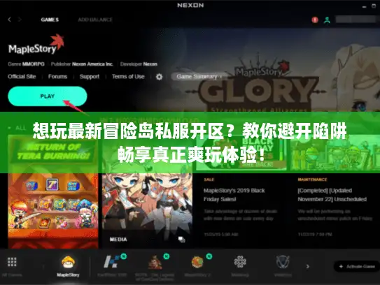 想玩最新冒险岛私服开区？教你避开陷阱畅享真正爽玩体验！