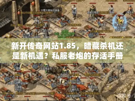 新开传奇网站1.85，暗藏杀机还是新机遇？私服老炮的存活手册