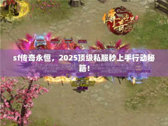 sf传奇永恒，2025顶级私服秒上手行动秘籍！