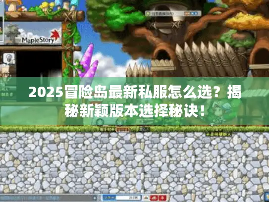 2025冒险岛最新私服怎么选?揭秘新颖版本选择秘诀! 2025冒险岛最新私服怎么选?揭秘新颖版本选择秘诀!
