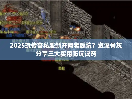 2025玩传奇私服新开网老踩坑？资深骨灰分享三大实用防坑诀窍