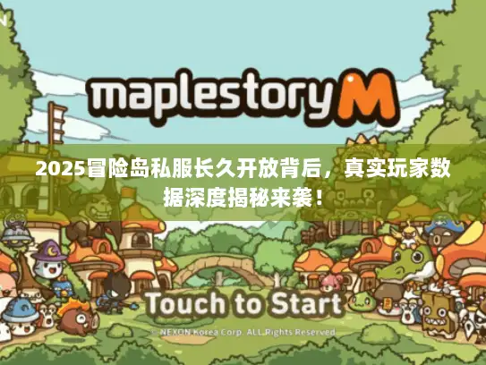 2025冒险岛私服长久开放背后，真实玩家数据深度揭秘来袭！