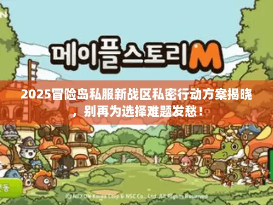 2025冒险岛私服新战区私密行动方案揭晓，别再为选择难题发愁！