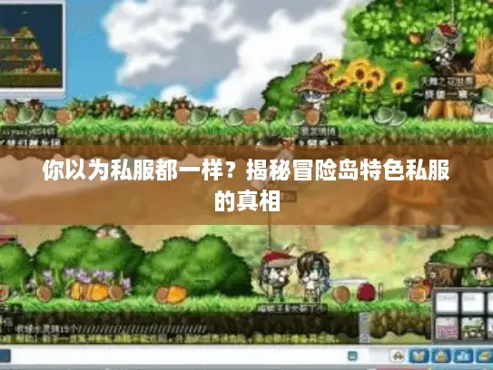 你以为私服都一样?揭秘冒险岛特色私服的真相 你以为私服都一样?揭秘冒险岛特色私服的真相