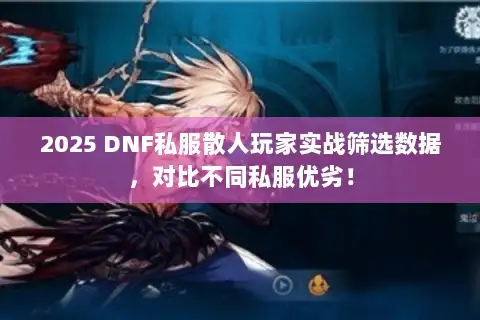 2025 DNF私服散人玩家实战筛选数据,对比不同私服优劣! 2025 DNF私服散人玩家实战筛选数据,对比不同私服优劣!