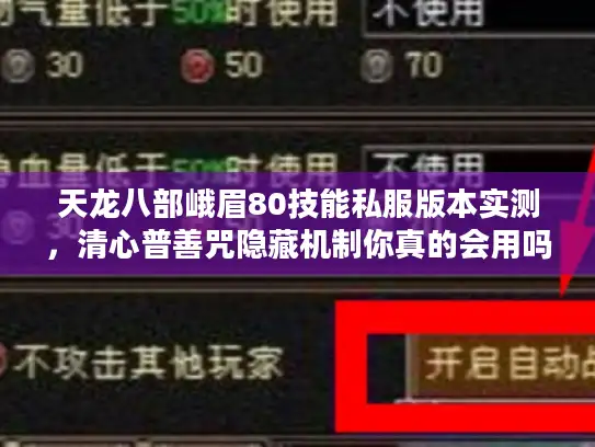 天龙八部峨眉80技能私服版本实测,清心普善咒隐藏机制你真的会用吗? 天龙八部峨眉80技能私服版本实测,清心普善咒隐藏机制你真的会用吗?
