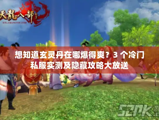 想知道玄灵丹在哪爆得爽？3 个冷门私服实测及隐藏攻略大放送