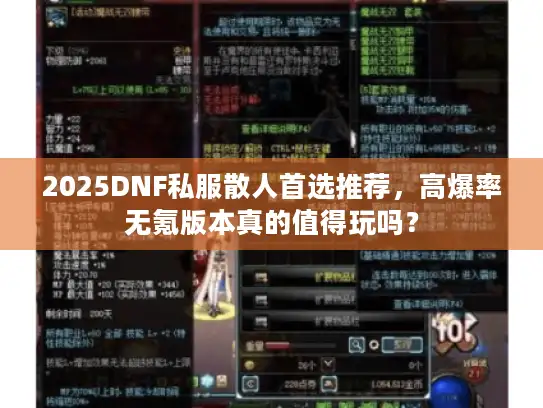 2025DNF私服散人首选推荐，高爆率无氪版本真的值得玩吗？