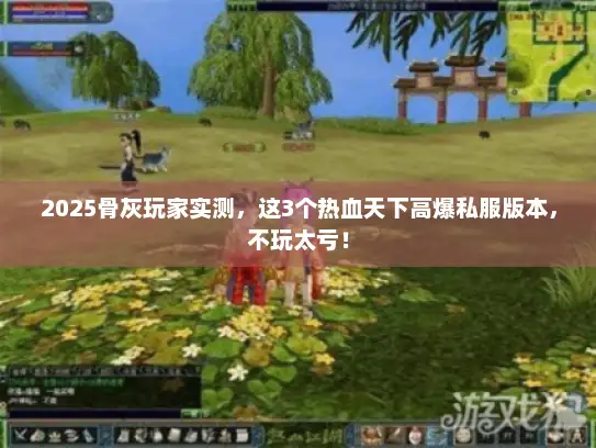 2025骨灰玩家实测，这3个热血天下高爆私服版本，不玩太亏！