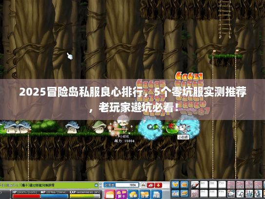2025冒险岛私服良心排行，5个零坑服实测推荐，老玩家避坑必看！