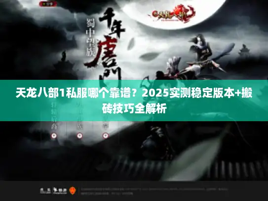 天龙八部1私服哪个靠谱？2025实测稳定版本+搬砖技巧全解析