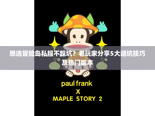 想选冒险岛私服不踩坑？老玩家分享5大避坑技巧及热门版本