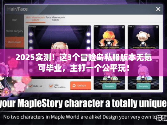 2025实测!这3个冒险岛私服版本无氪可毕业,主打一个公平玩! 2025实测!这3个冒险岛私服版本无氪可毕业,主打一个公平玩!