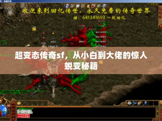 超变态传奇sf,从小白到大佬的惊人蜕变秘籍 超变态传奇sf,从小白到大佬的惊人蜕变秘籍