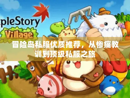 冒险岛私服优质推荐，从惨痛教训到顶级私服之旅
