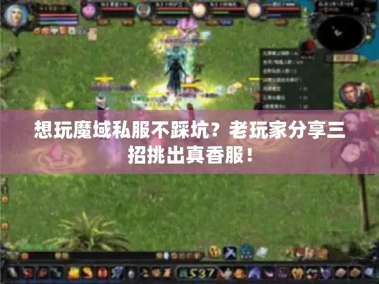 想玩魔域私服不踩坑?老玩家分享三招挑出真香服! 想玩魔域私服不踩坑?老玩家分享三招挑出真香服!