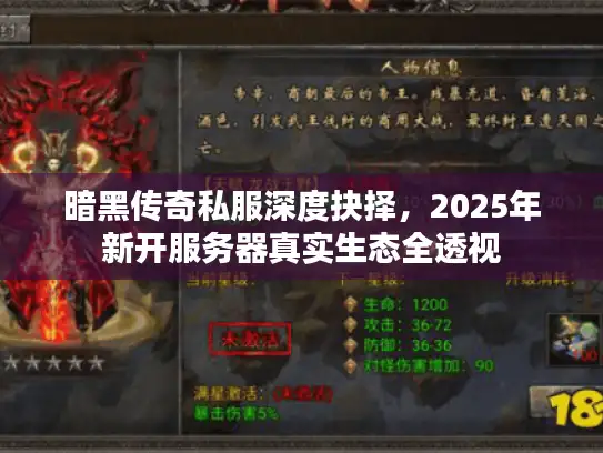 暗黑传奇私服深度抉择，2025年新开服务器真实生态全透视