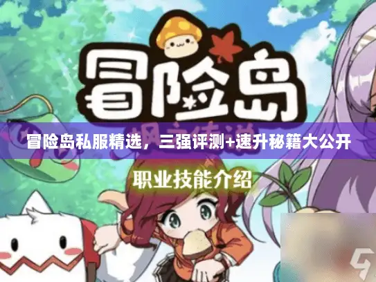 冒险岛私服精选，三强评测+速升秘籍大公开