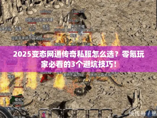 2025变态网通传奇私服怎么选？零氪玩家必看的3个避坑技巧！