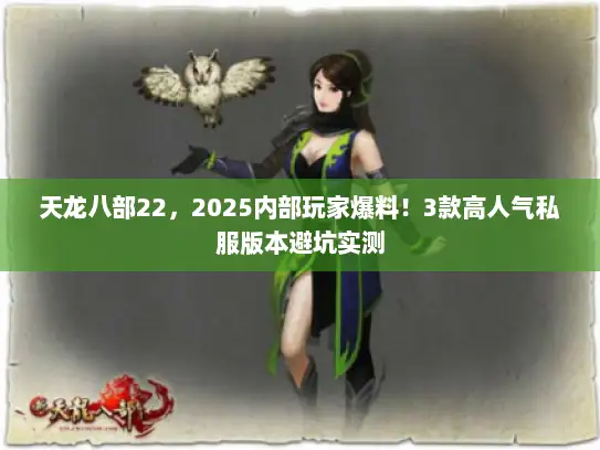 天龙八部22，2025内部玩家爆料！3款高人气私服版本避坑实测