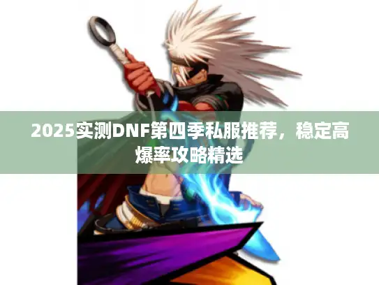 2025实测DNF第四季私服推荐，稳定高爆率攻略精选