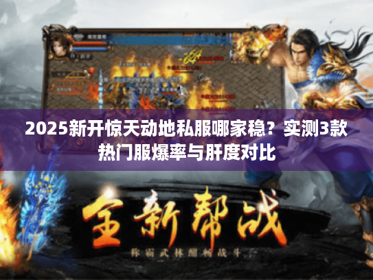 2025新开惊天动地私服哪家稳？实测3款热门服爆率与肝度对比