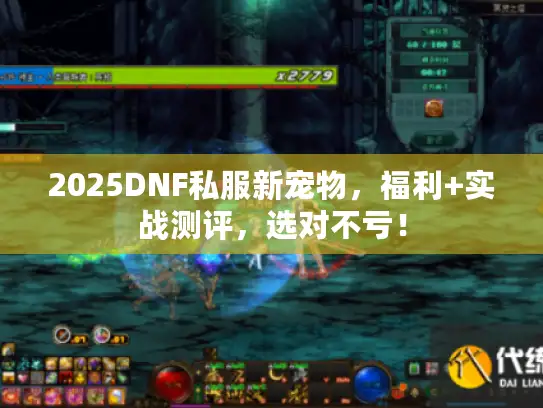 2025DNF私服新宠物，福利+实战测评，选对不亏！