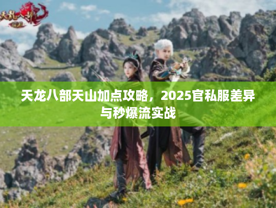 天龙八部天山加点攻略，2025官私服差异与秒爆流实战