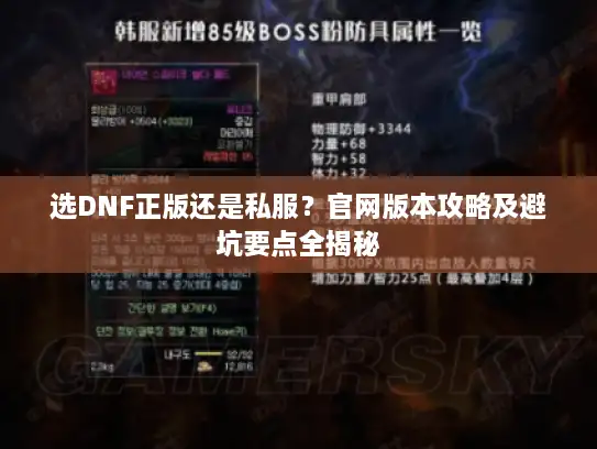 选DNF正版还是私服？官网版本攻略及避坑要点全揭秘