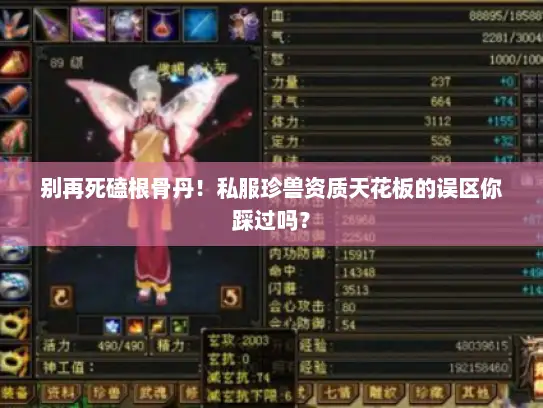 别再死磕根骨丹！私服珍兽资质天花板的误区你踩过吗？