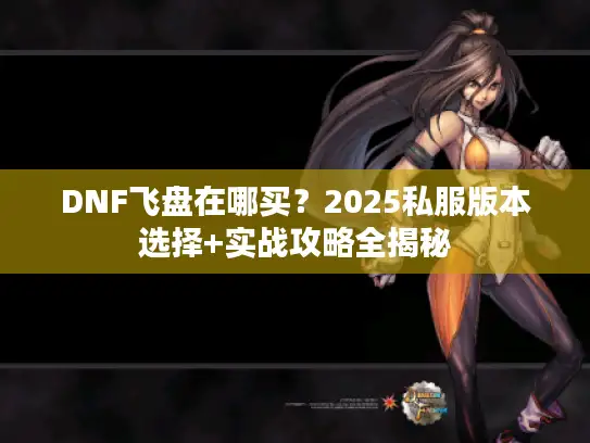 DNF飞盘在哪买？2025私服版本选择+实战攻略全揭秘