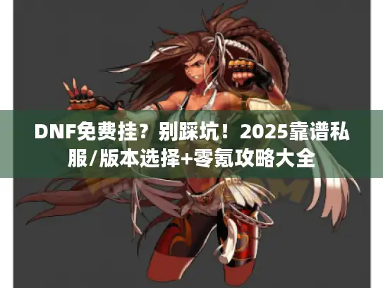 DNF免费挂？别踩坑！2025靠谱私服/版本选择+零氪攻略大全