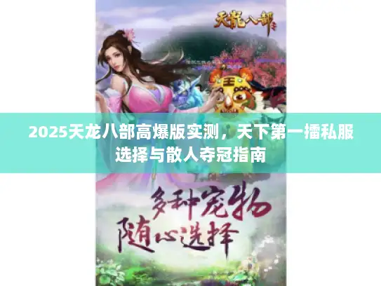 2025天龙八部高爆版实测，天下第一擂私服选择与散人夺冠指南