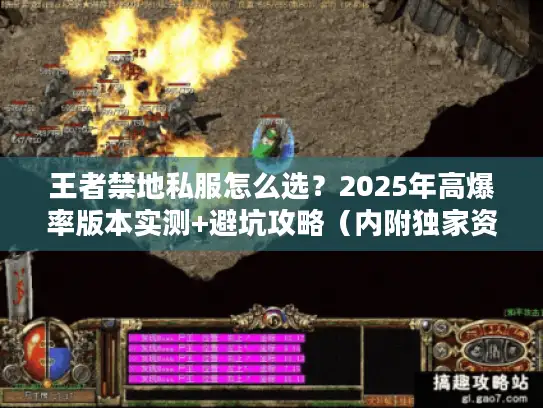 王者禁地私服怎么选？2025年高爆率版本实测+避坑攻略（内附独家资源）