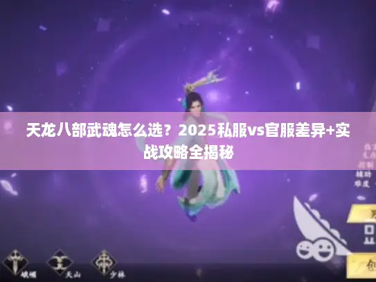 天龙八部武魂怎么选？2025私服vs官服差异+实战攻略全揭秘