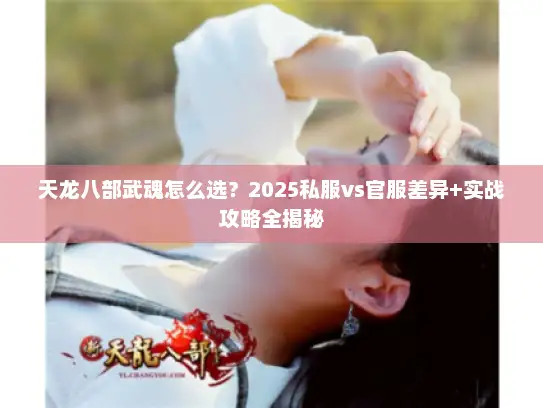 天龙八部武魂怎么选？2025私服vs官服差异+实战攻略全揭秘