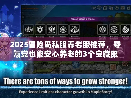 2025冒险岛私服养老服推荐，零氪党也能安心养老的3个宝藏服