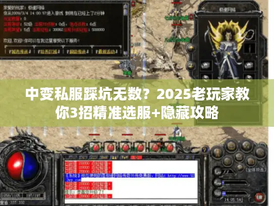 中变私服踩坑无数？2025老玩家教你3招精准选服+隐藏攻略