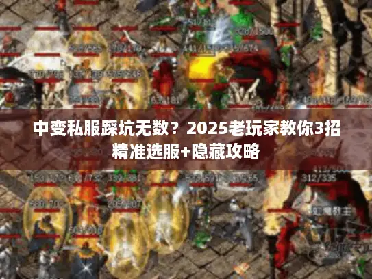 中变私服踩坑无数？2025老玩家教你3招精准选服+隐藏攻略