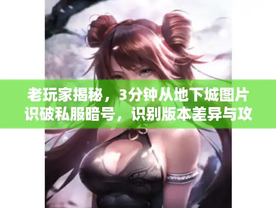 老玩家揭秘，3分钟从地下城图片识破私服暗号，识别版本差异与攻略细节
