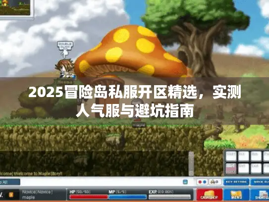 2025冒险岛私服开区精选，实测人气服与避坑指南