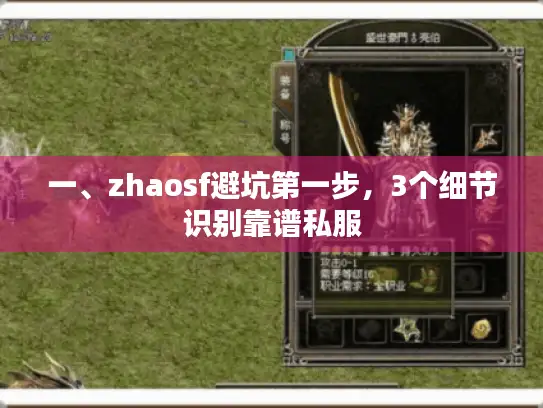 一、zhaosf避坑第一步,3个细节识别靠谱私服 一、zhaosf避坑第一步,3个细节识别靠谱私服