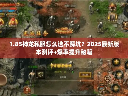1.85神龙私服怎么选不踩坑？2025最新版本测评+爆率提升秘籍