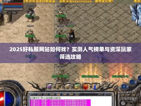 2025好私服网站如何找？实测人气榜单与资深玩家筛选攻略