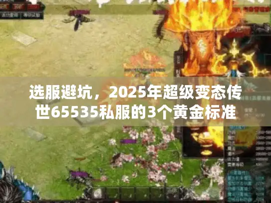 选服避坑，2025年超级变态传世65535私服的3个黄金标准