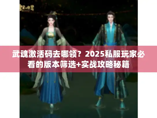 武魂激活码去哪领？2025私服玩家必看的版本筛选+实战攻略秘籍