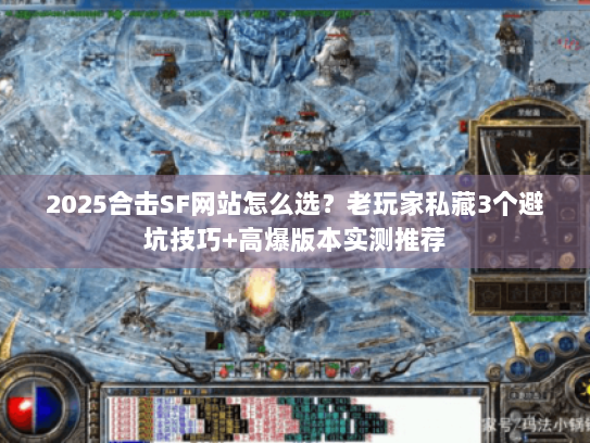 2025合击SF网站怎么选？老玩家私藏3个避坑技巧+高爆版本实测推荐